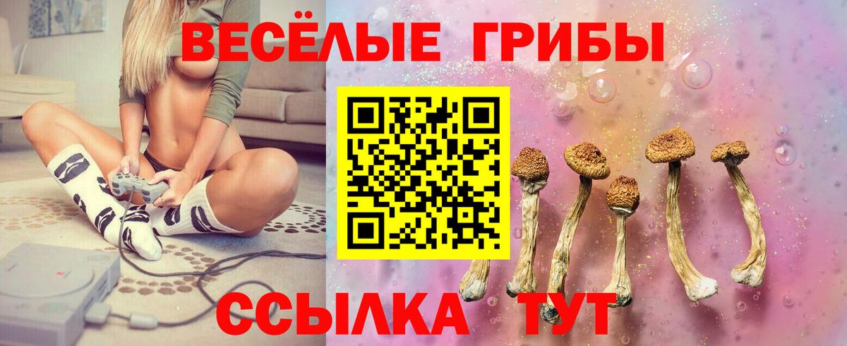 Псилоцибиновые грибы Psilocybe  Вход с VPN  Заводоуковск  Галлюциногенные грибы Psilocybine cubensis 