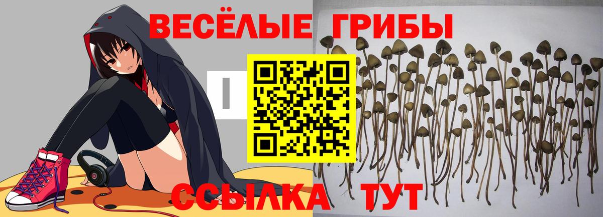 Галлюциногенные грибы прущие грибы Заводоуковск